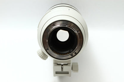 FE 70-200/2.8 GM OSS II