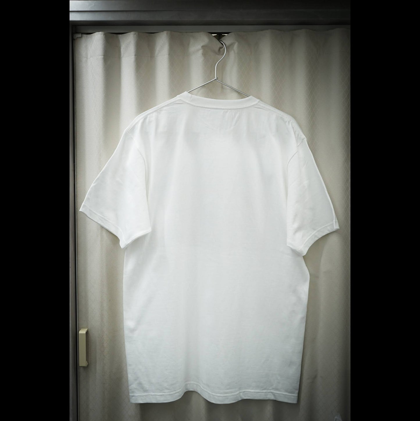 Tシャツ にしんカメラ XL