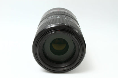 70-300/4.5-5.6 G SSM SAL70300G (Aマウント)